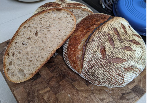 Cooking and baking gallery